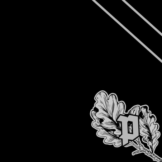 DIE LUNIKOFF VERSCHWÖRUNG - DIE SCHWARZE SINGLE | A - D | National